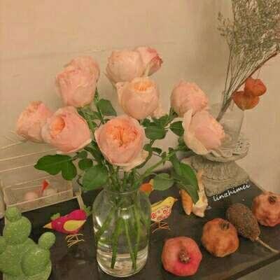 一分三快appapp下载