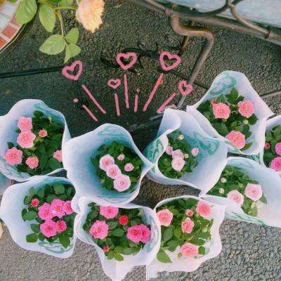 米乐app官方地址